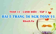 Bài 5 trang 56 SGK Toán 11 tập 1 Cánh Diều